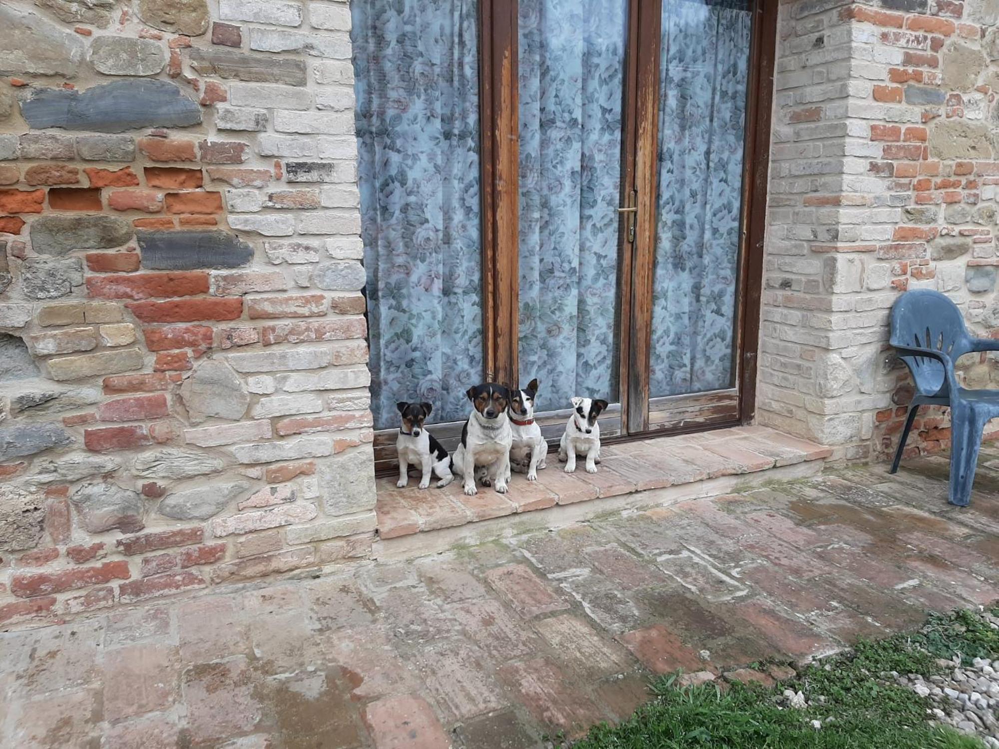 Agriturismo Antica Corte Montatteglia Exterior foto